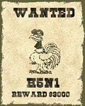 pic for Wanted H5N1